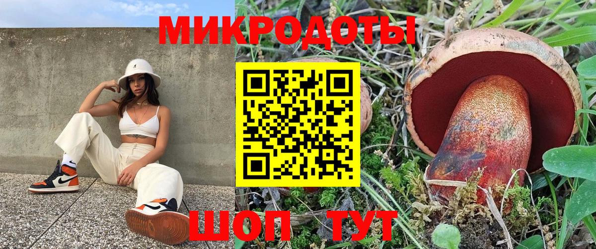Приморско-Ахтарск  Галлюциногенные грибы прущие грибы  Вход с VPN 